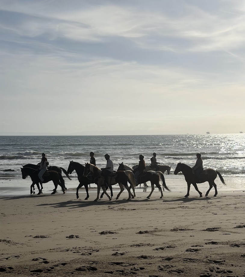 Trail ride landscape