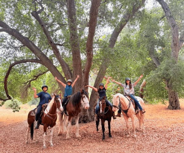 Local Horseback Trail Rides