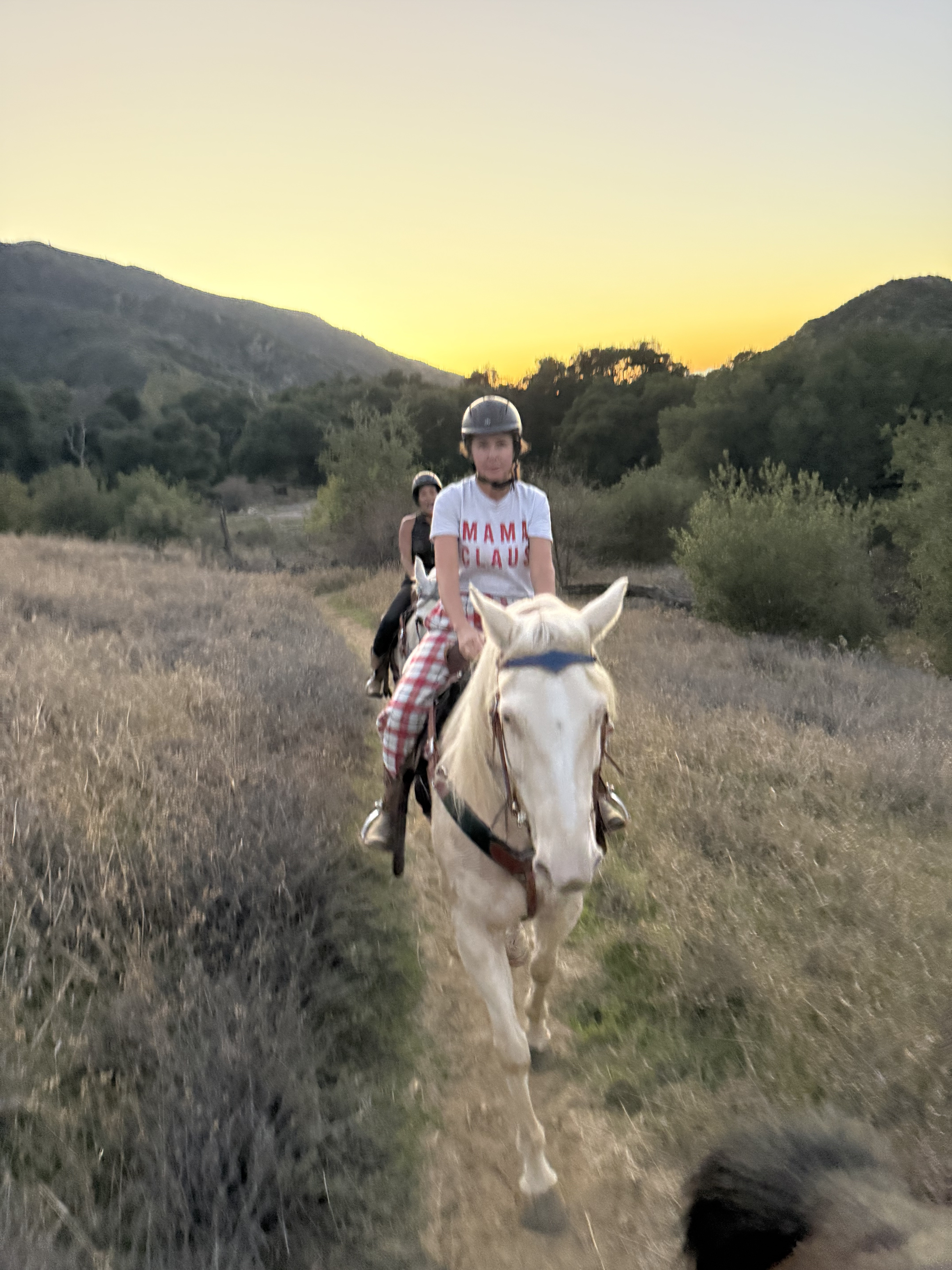 Why Not Every Rider Is a Good Match for Every Horse (And That’s Okay)