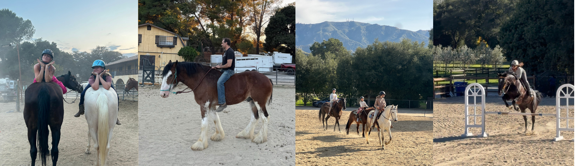 Horsemanship Clinics 
