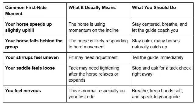 Common First Ride Moment