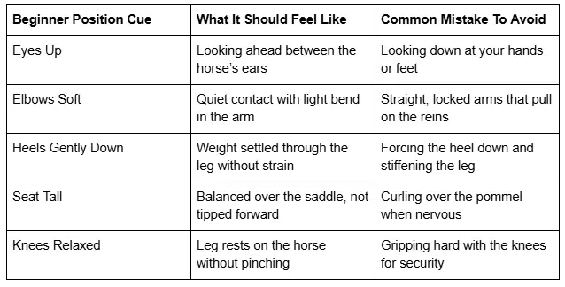 Beginner Position Cue