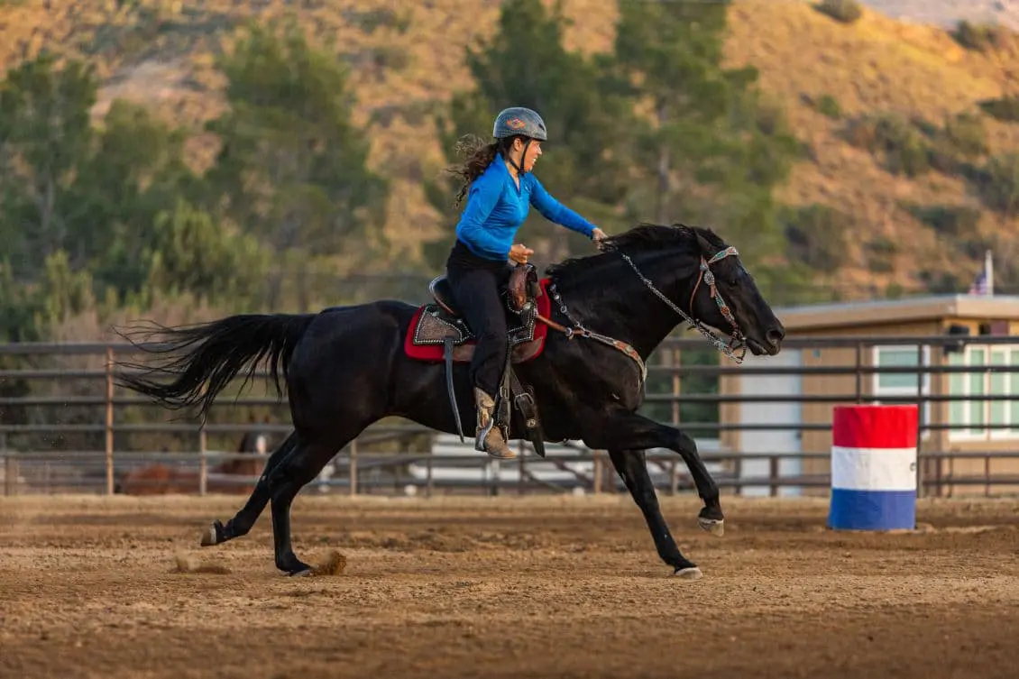 How Can Western Horseback Riding Lessons Help Beginners Start With Confidence?