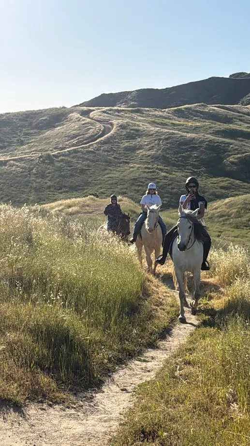 Group trail riding on horses through scenic hills