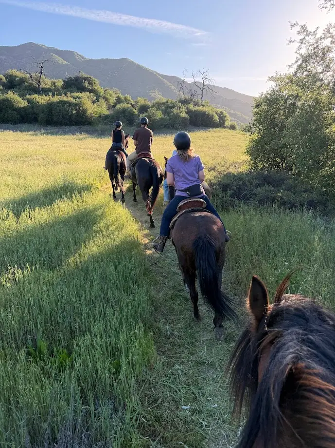 Group horseback riding through a field at sunrise