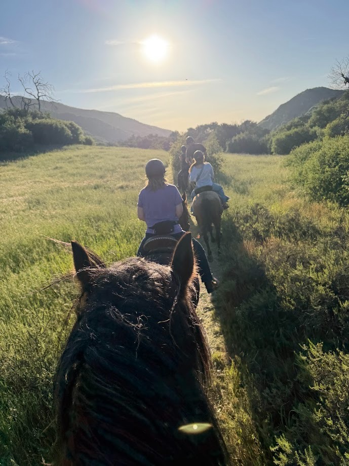 Santa Clarita Mountains Track