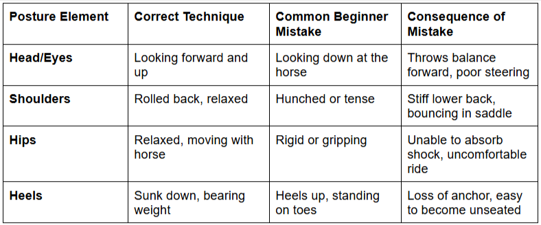 Comparing Riding Postures