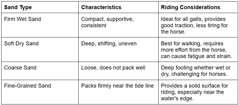 How Do Wildlife and Coastal Context Shape the Experience