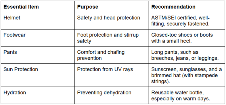 What Are the Safety Basics for Beach Riding