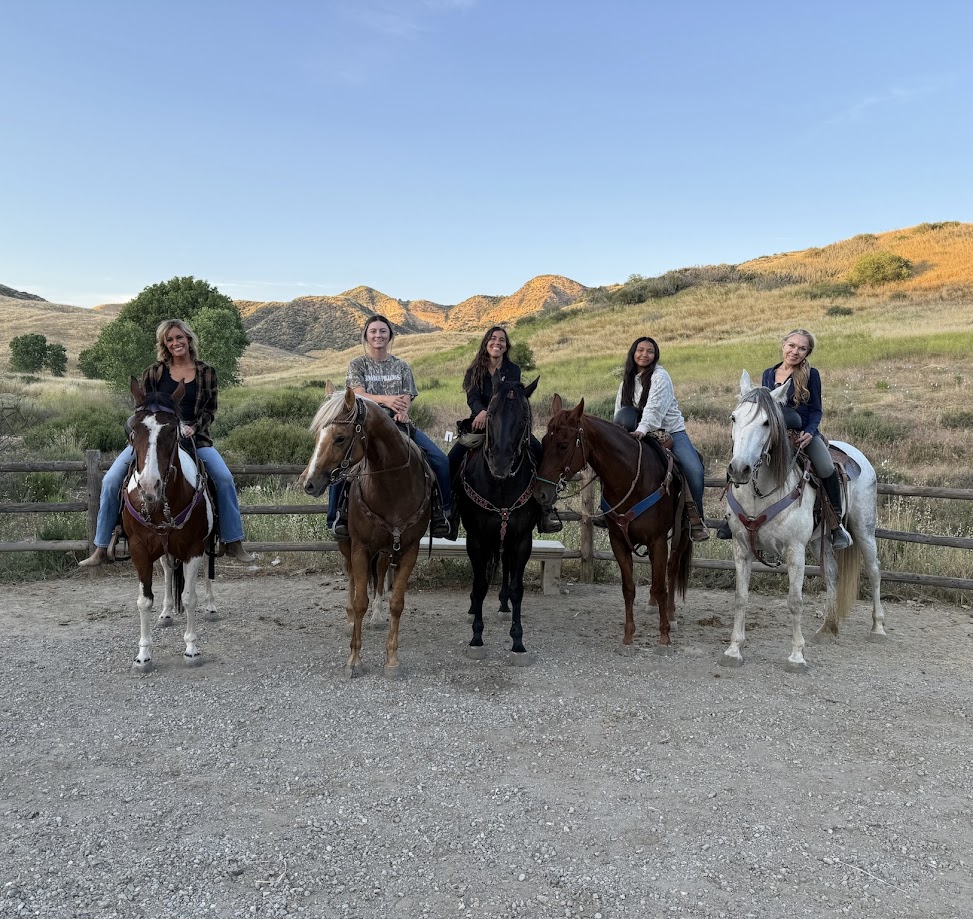 Horseback Riding Lessons for Adults: An Encouraging Guide for True Beginners