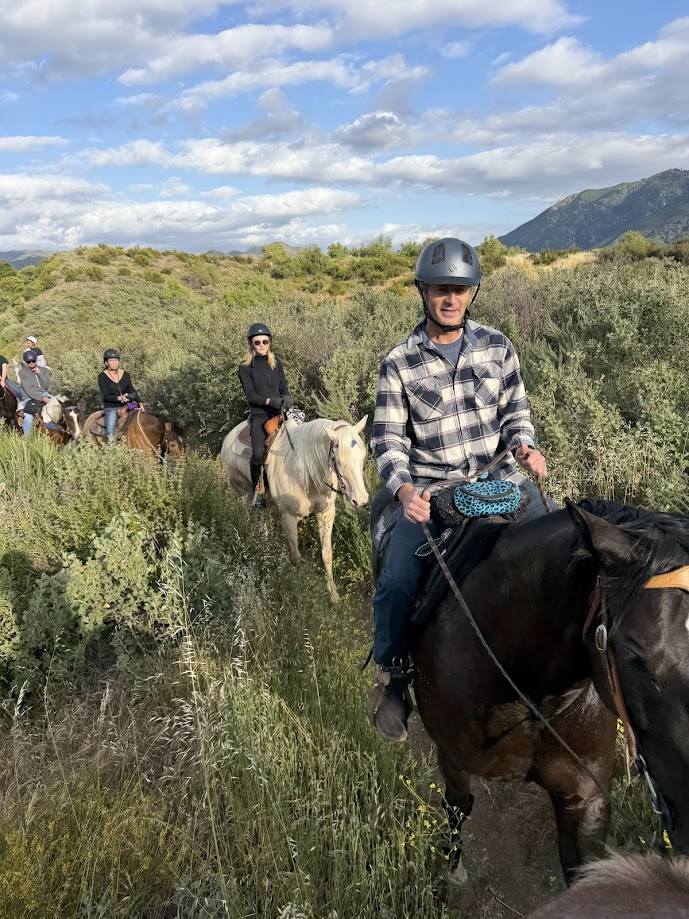 Rider in proper riding attire with helmet on horseback in mountain landscape