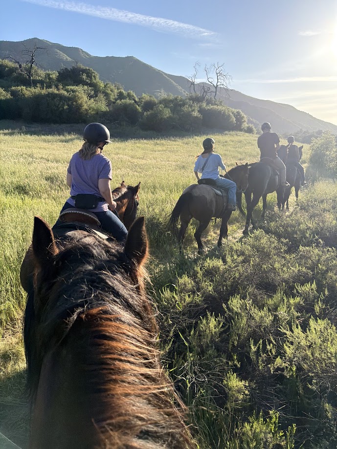 Group of riders on horseback on trail with ocean and cliffs visible