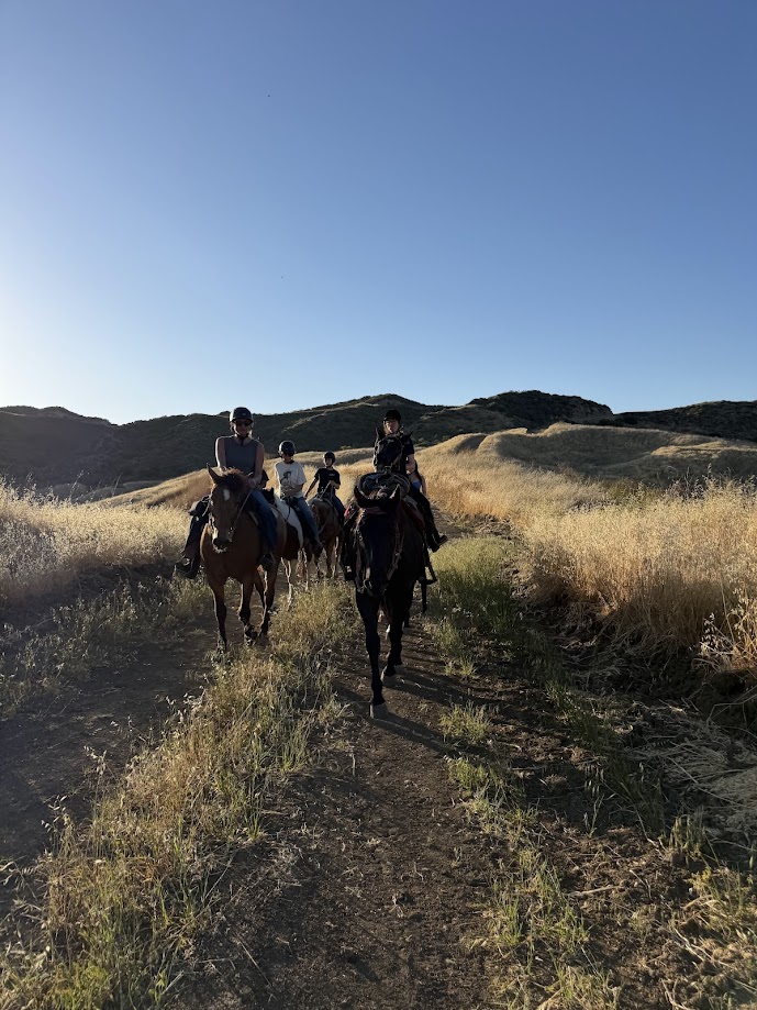 Group of riders on horseback in desert landscape with mountains