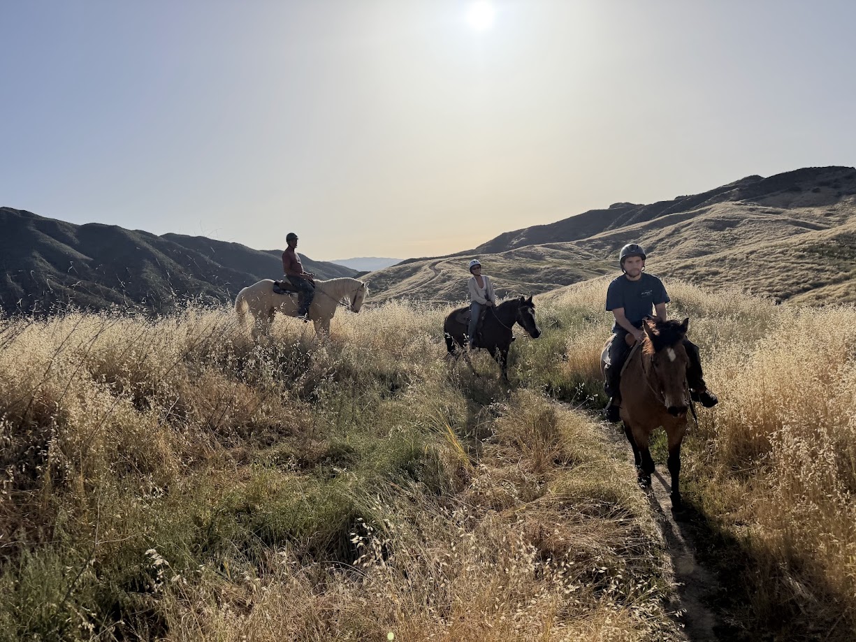 The Reservation Checklist for Horseback Riding Trail Rides Near Me