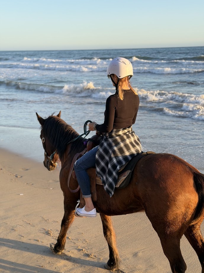 Horseback rider walking horse on beach with firm wet sand and coastal cliffs visible