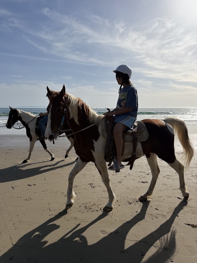 Horseback rider on beach at sunset with horse looking toward ocean waves