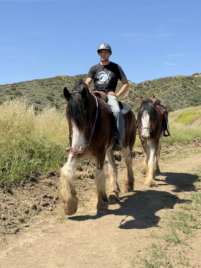 Adult Horseback Riding Lessons: Why It's Never Too Late to Start
