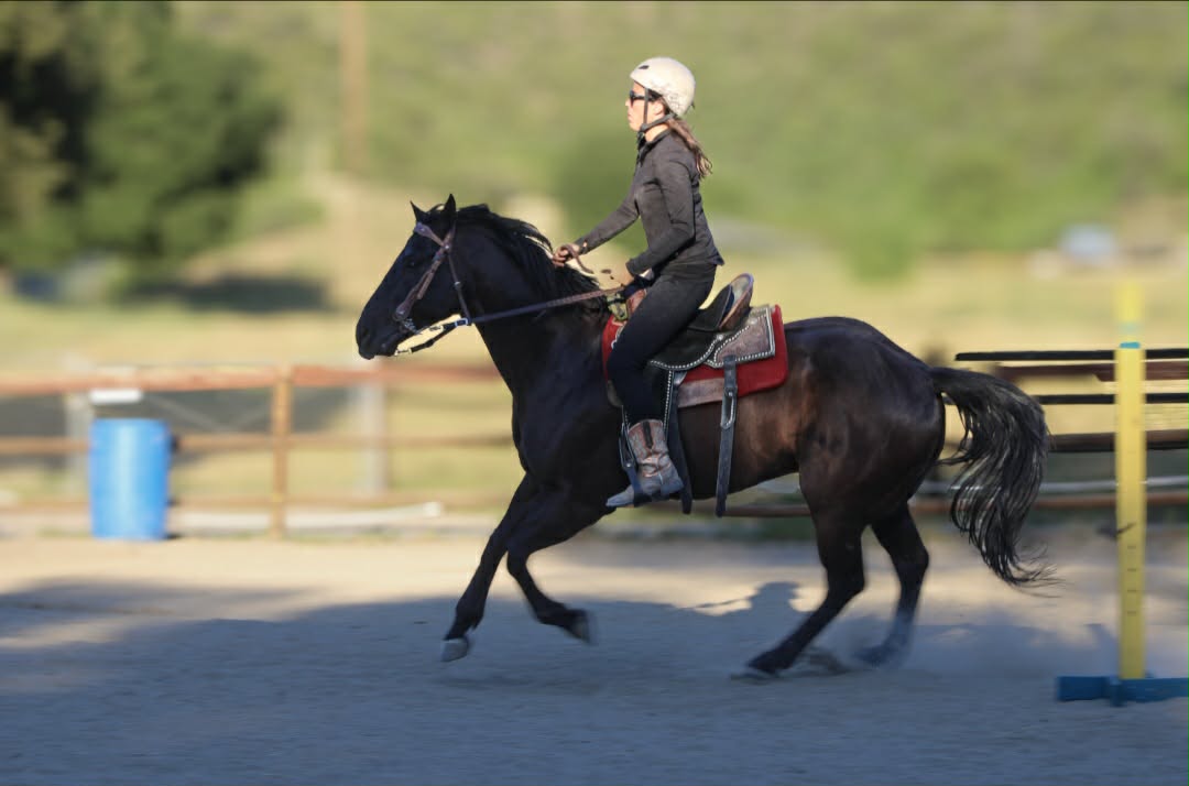 Barrel racing horse training arena
