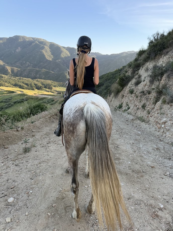 Mountain trail horseback riding scenic views