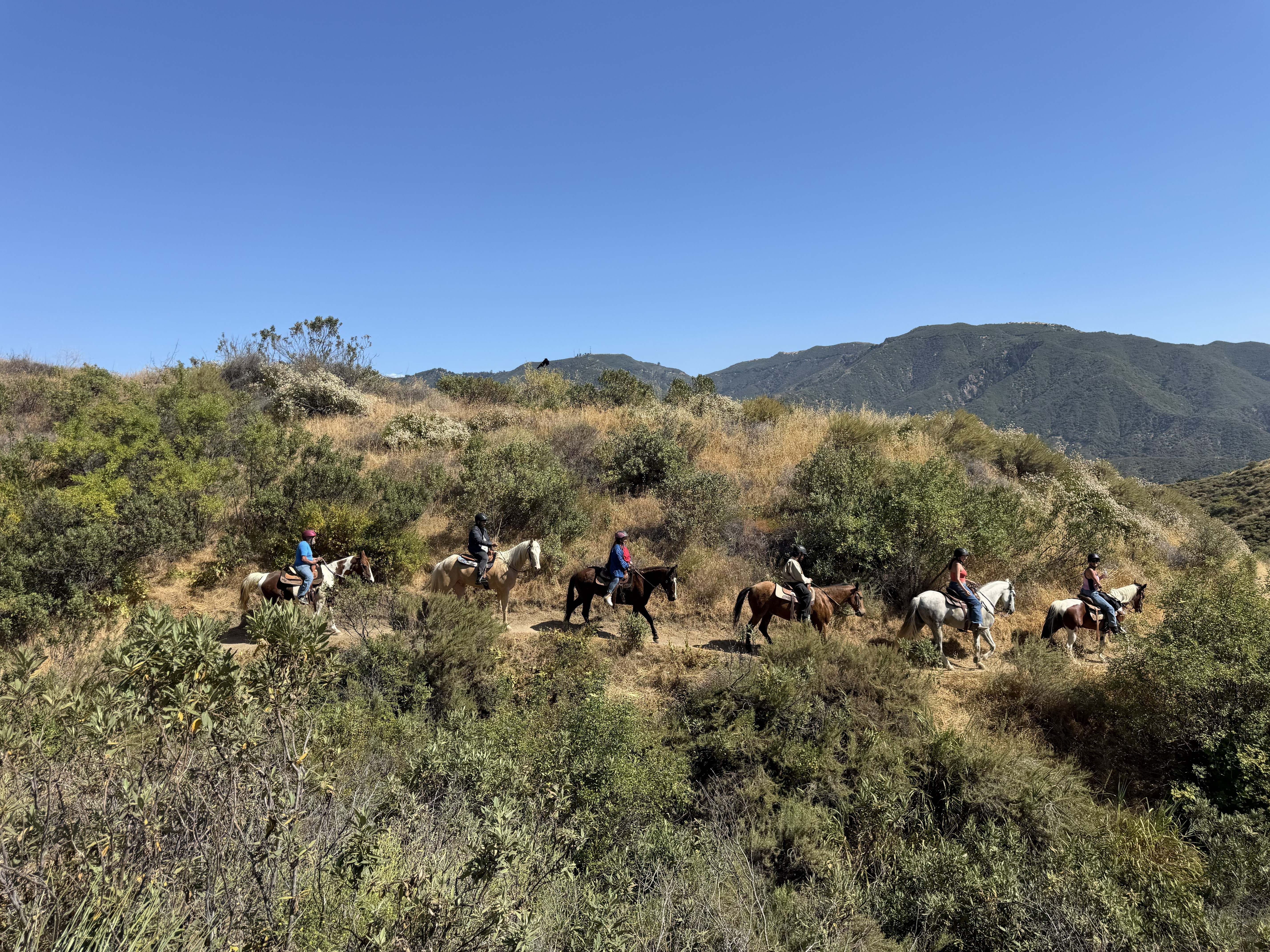 Father's Day Special Local Trail Ride