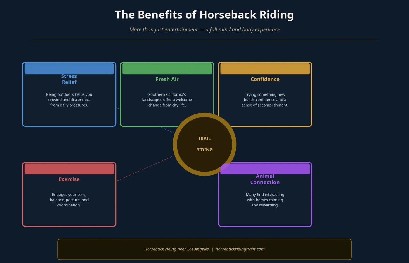 Benefits of horseback riding infographic — stress relief, fresh air, confidence, exercise, and animal connection