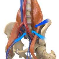 Trade Show Medical Animation: How 3D Booth Videos Increase Lead Generation by 300% and Booth Traffic by 200%