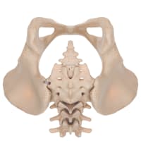 Medical Device Product Launch Videos: How 3D Animation Increases Sales by 70% and Drives 1200% More Social Shares