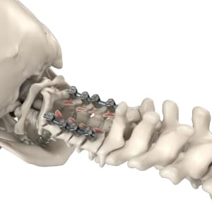 What Medical Animation Is Actually Used for in 2026