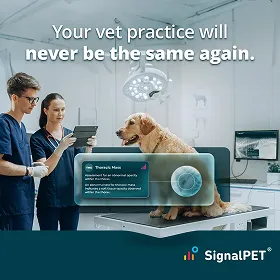 Ad featuring two veterinarians looking at a tablet during a dog's exam, with a superimposed screenshot, created by a top creative marketing agency. 