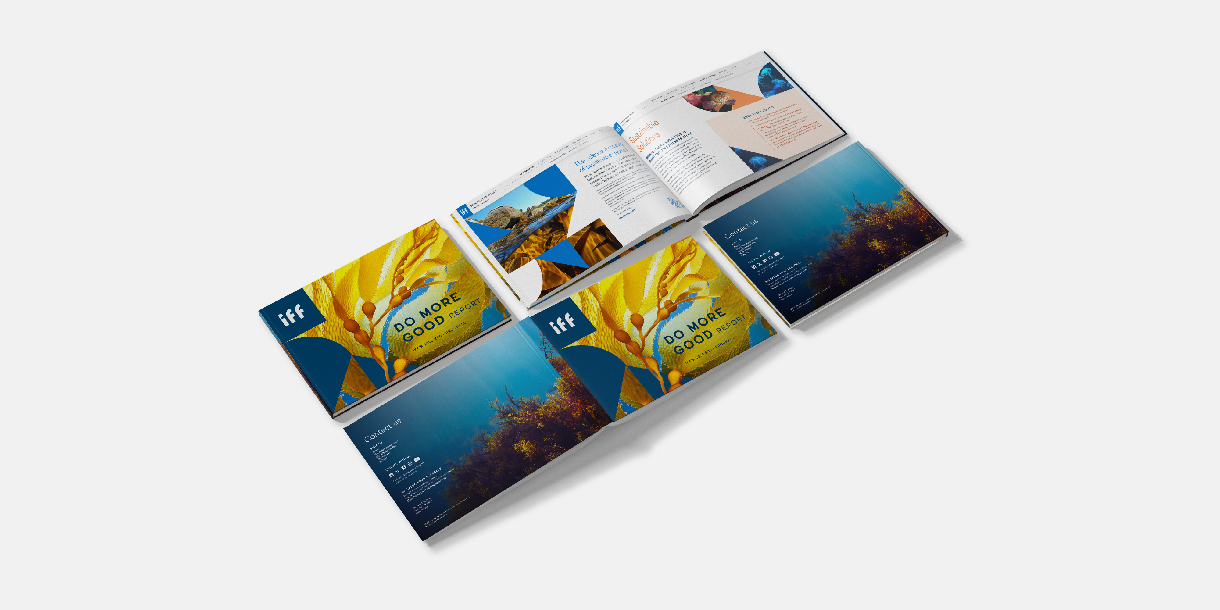 Report Launch Strategy and Communications