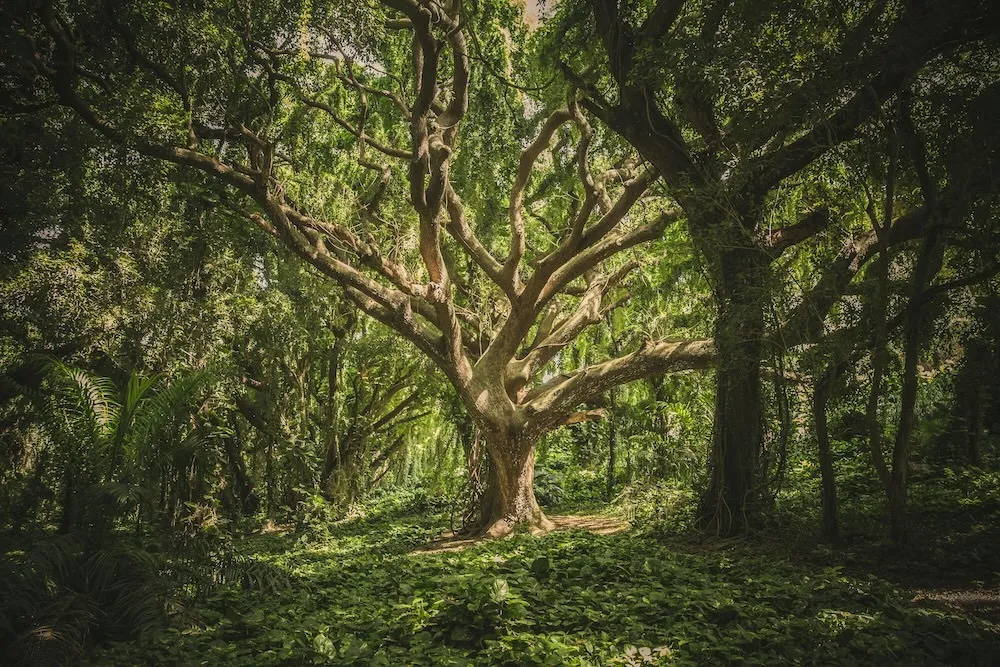 Which sustainability reporting framework is right for your compa