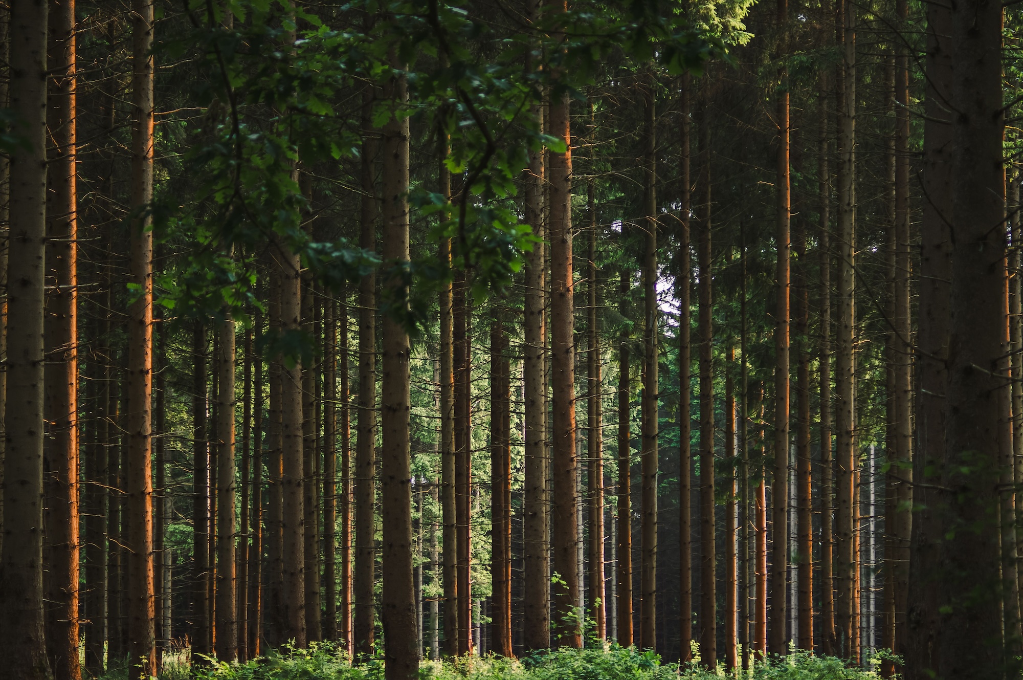 The sustainability still sells reading list