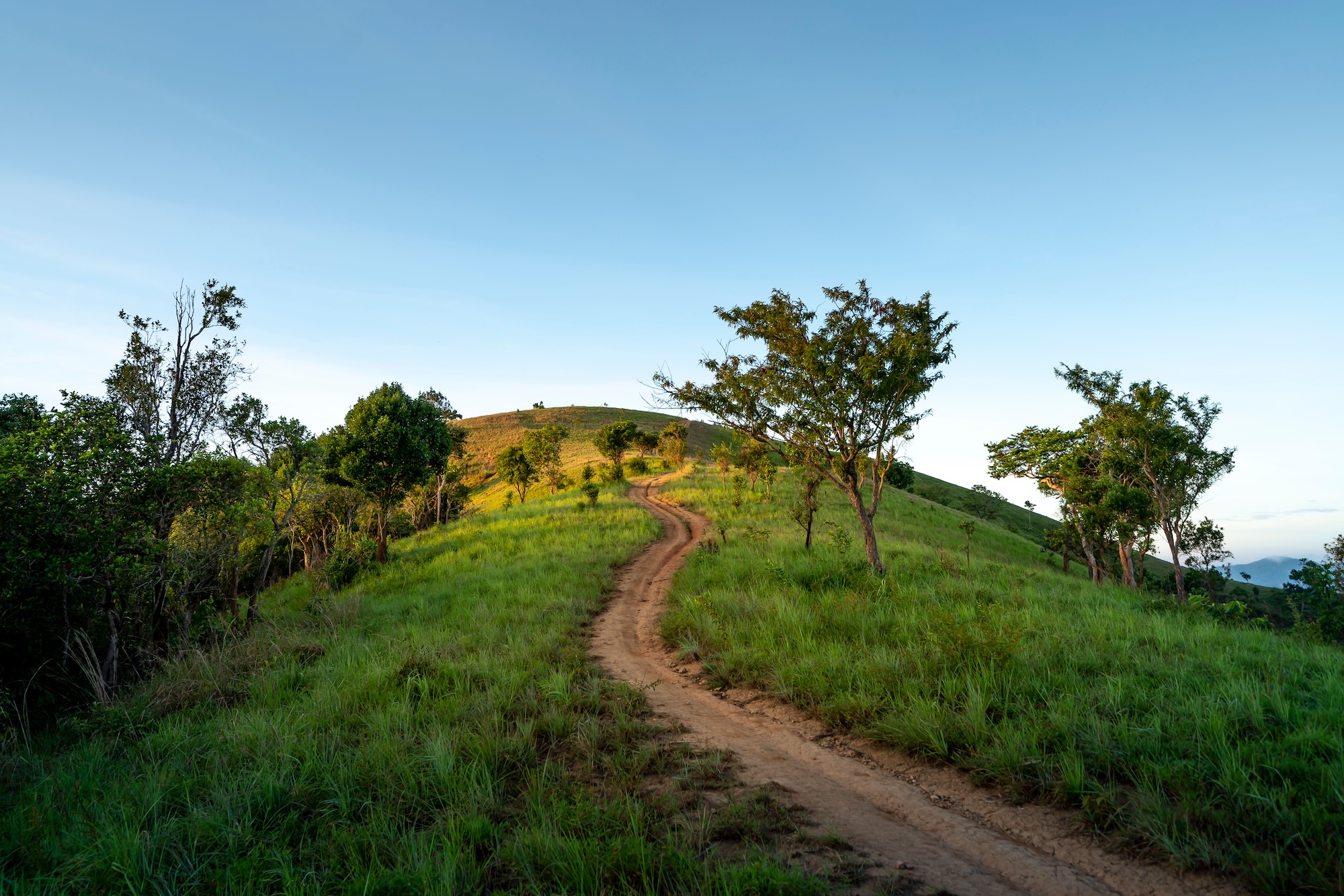 8 midyear sustainability trends
