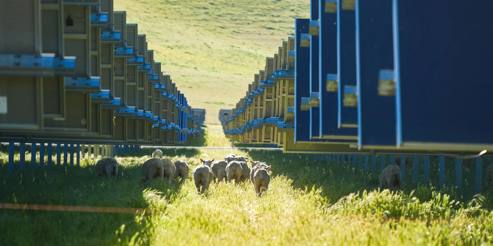 Energy, Renewables, & Sustainability Infrastructure