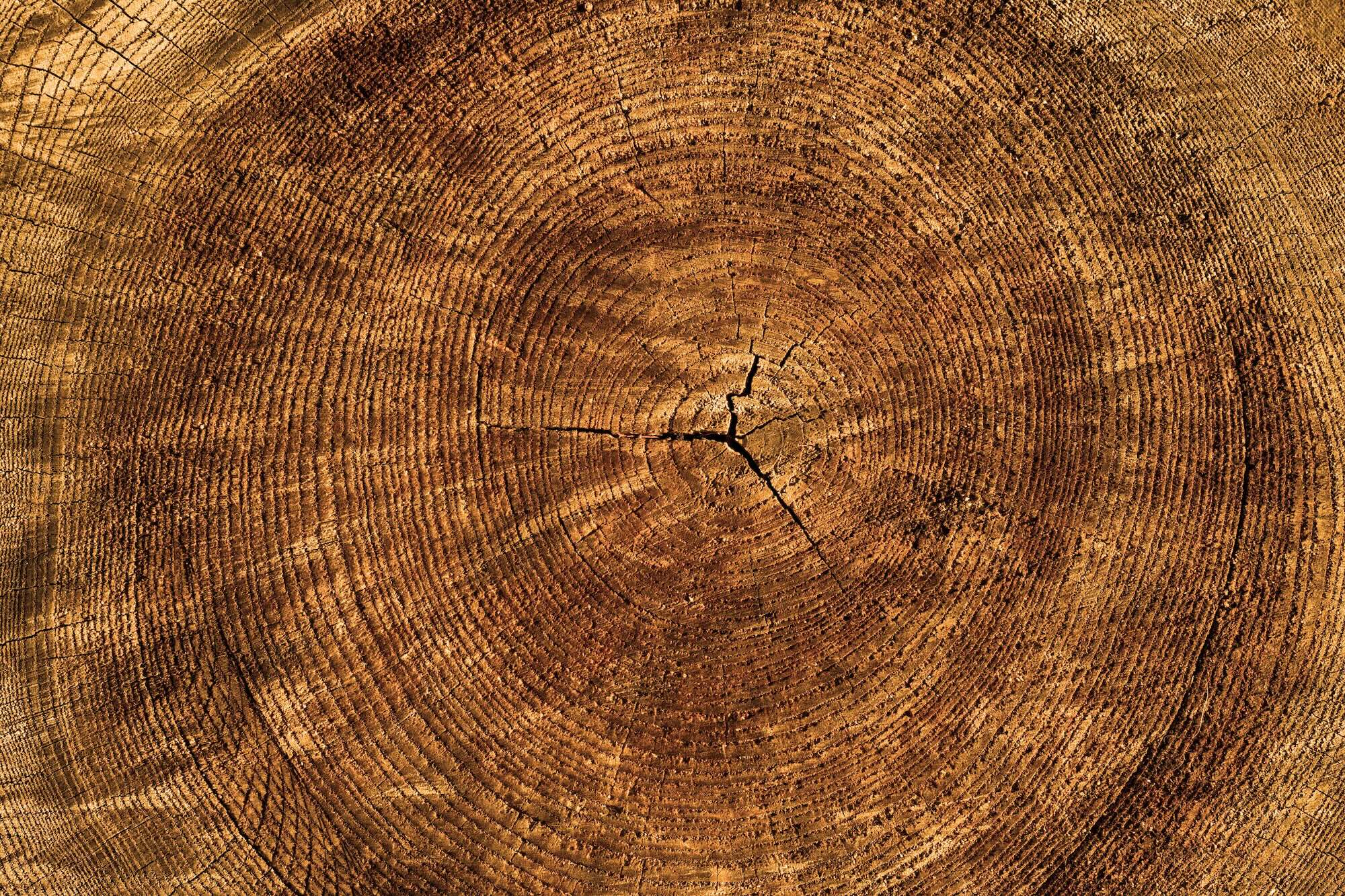 What 100 reports show about sustainability goals