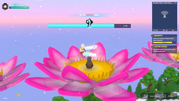 Universal Peace Sanctuary1.jpg