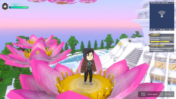 Universal Peace Sanctuary 4.jpg