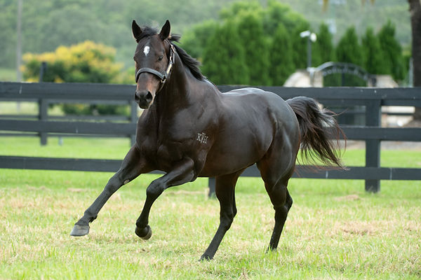 21-0308_Pierata Paddock_SLC_0115.jpg