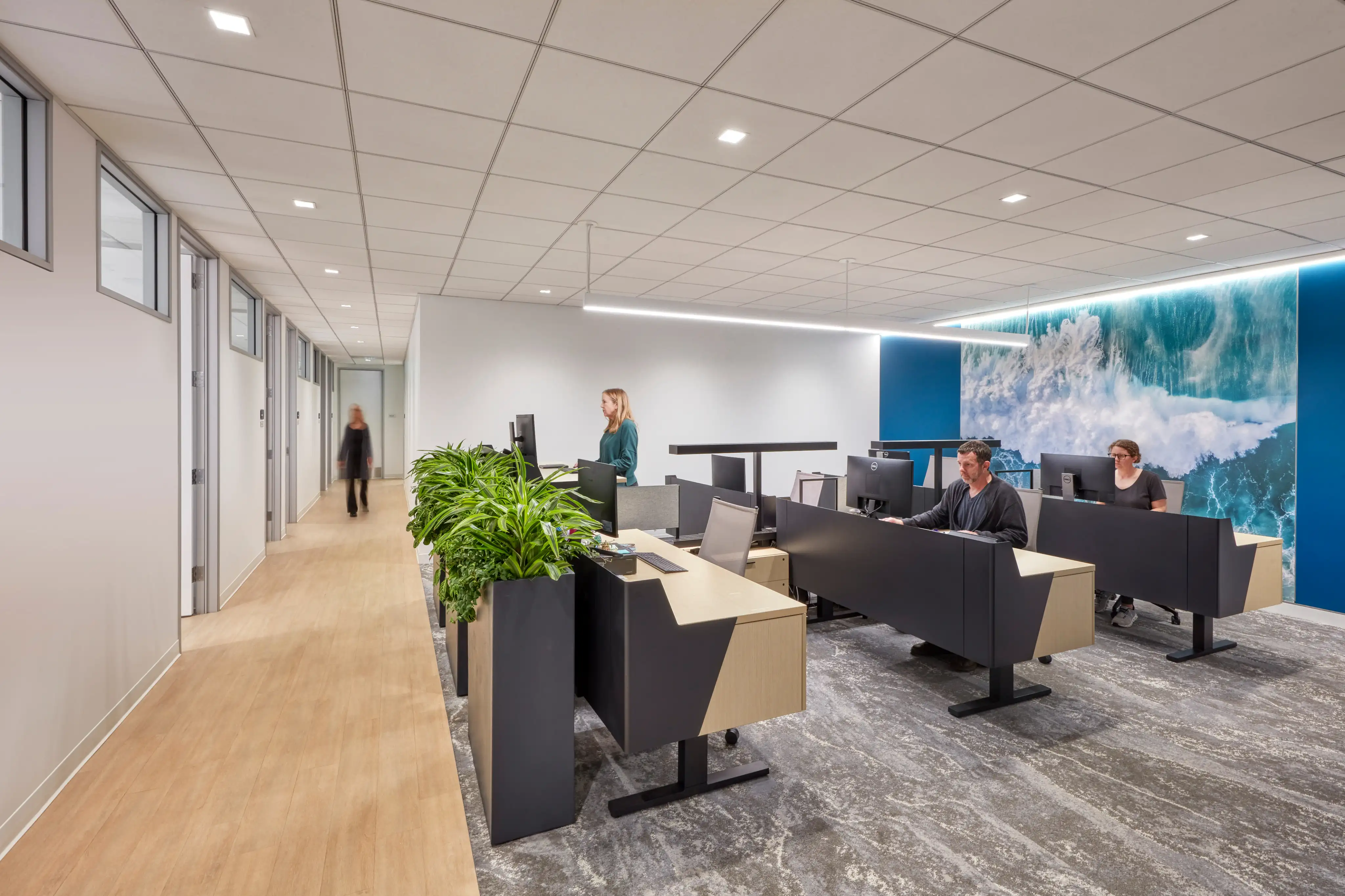 Modern office space with people working at sleek desks. A vibrant ocean wave mural adds color. Green plants enhance the calm, focused atmosphere.