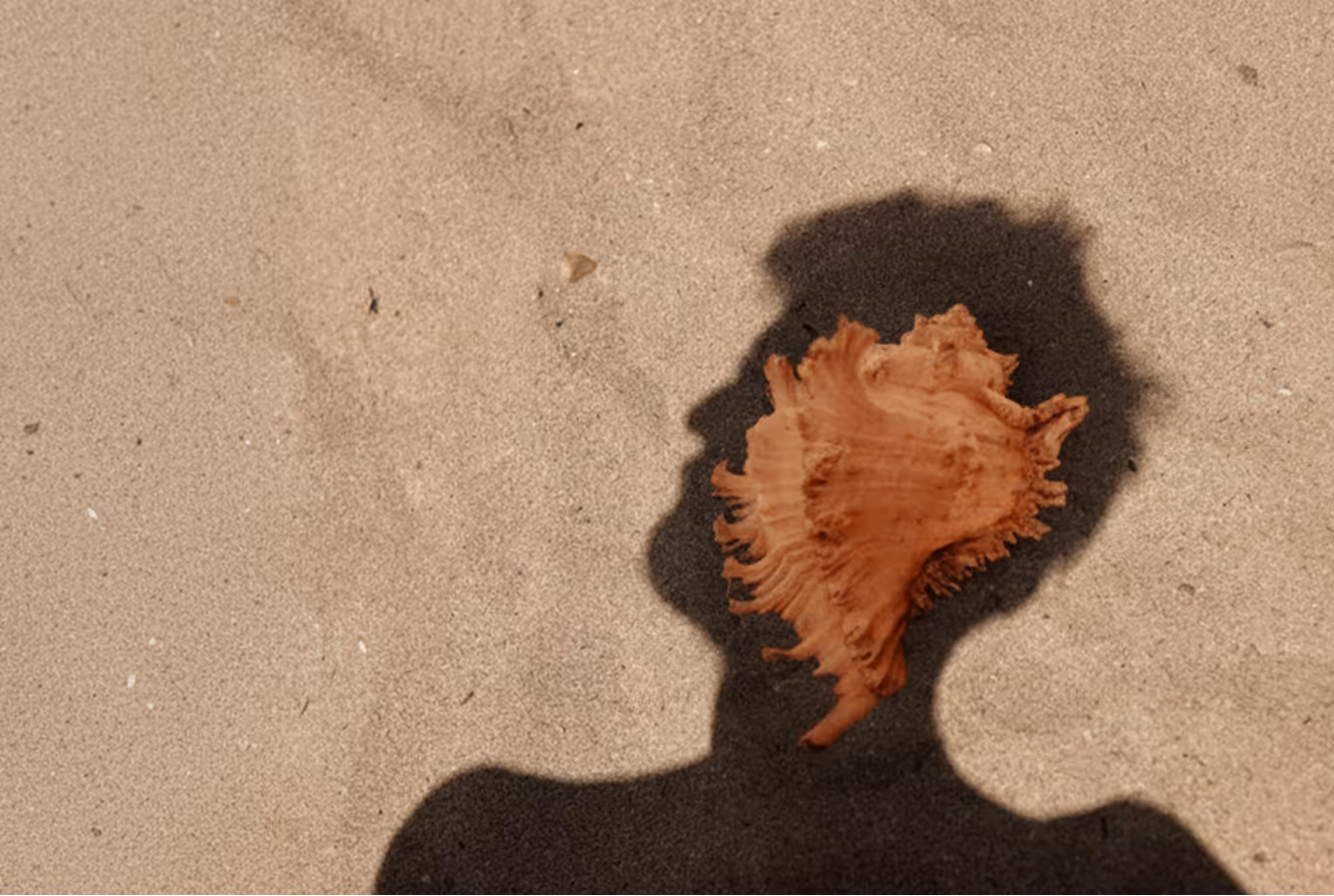 Shadow of a person on sand with a large orange seashell positioned near the head shadow.