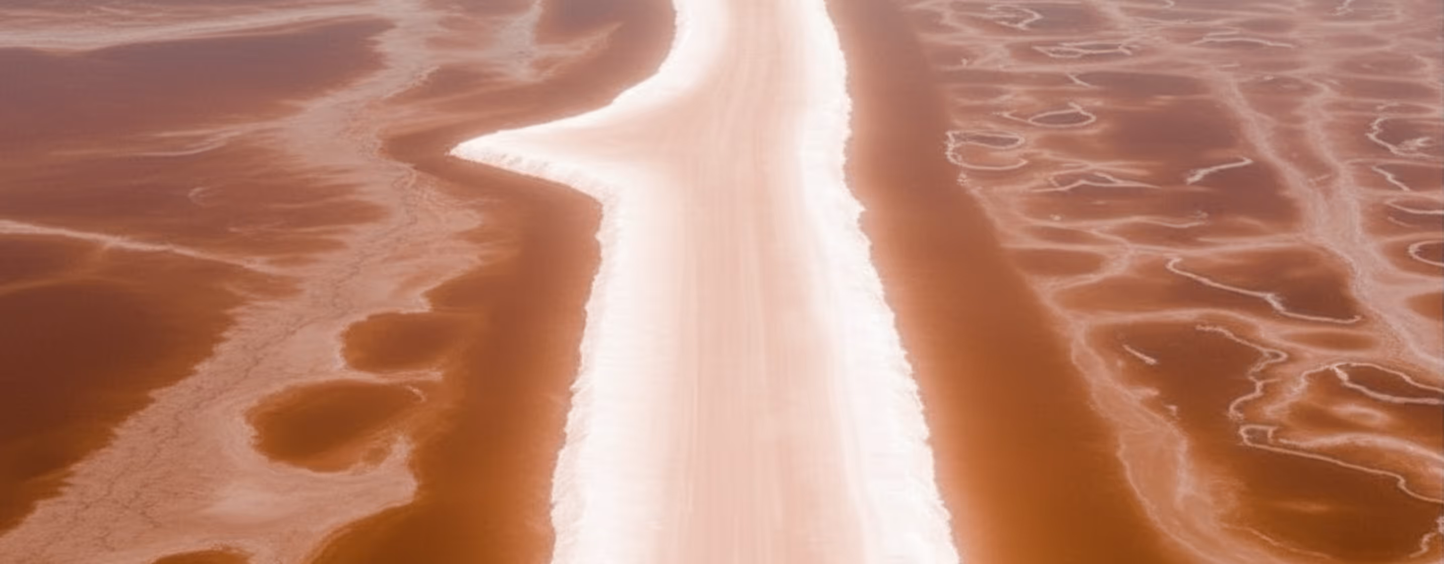 Aerial view of a pink salty lake with white salt formations creating patterns along the shore and a central white strip.