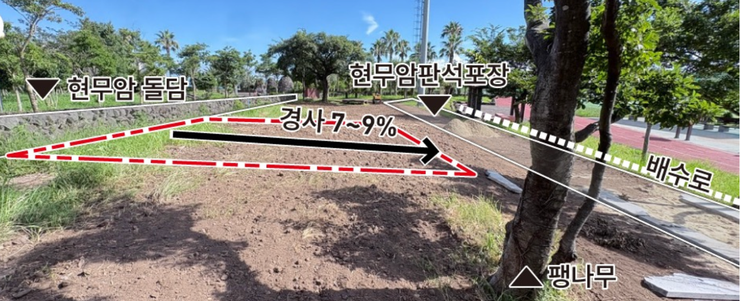 주식회사 담 · 부지 초입에서 바라본 모습. 완만한 경사와 배수로, 그리고 한켠을 지키고 선 팽나무 한 그루.
