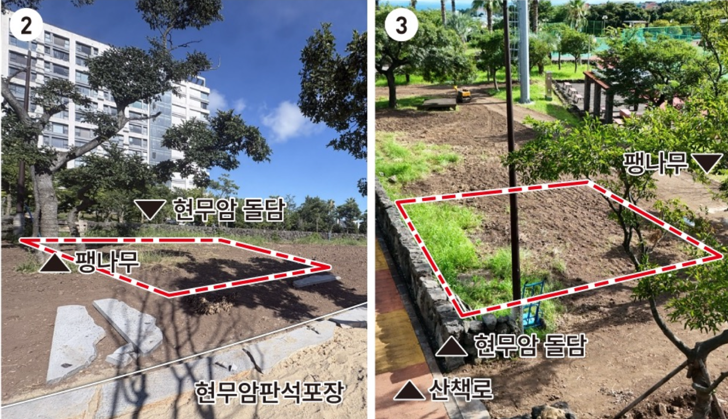 주식회사 담 · 기존 현무암 돌담과 산책로. 이 결의 흐름을 그대로 살리는 것에서 설계를 시작했습니다.