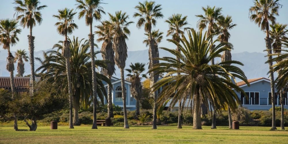City of Oxnard welcome sign along a main road in a service area covered by Stowell Plumbing