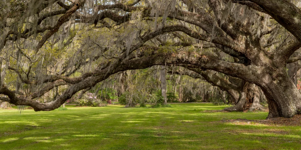 Oak Park entrance sign near local homes and neighborhoods served by Stowell Plumbing