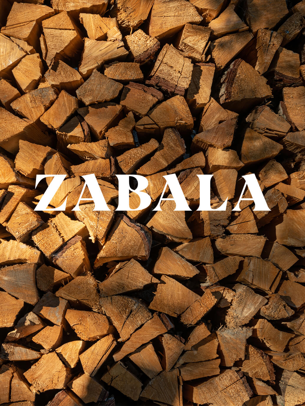 Fotografía logotipo para Zabala