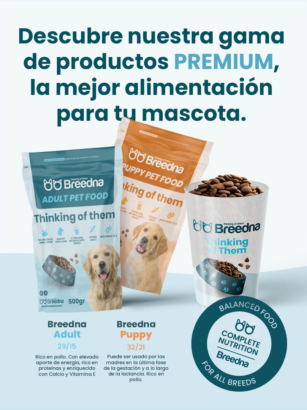 Diseño post redes sociales para Breedna