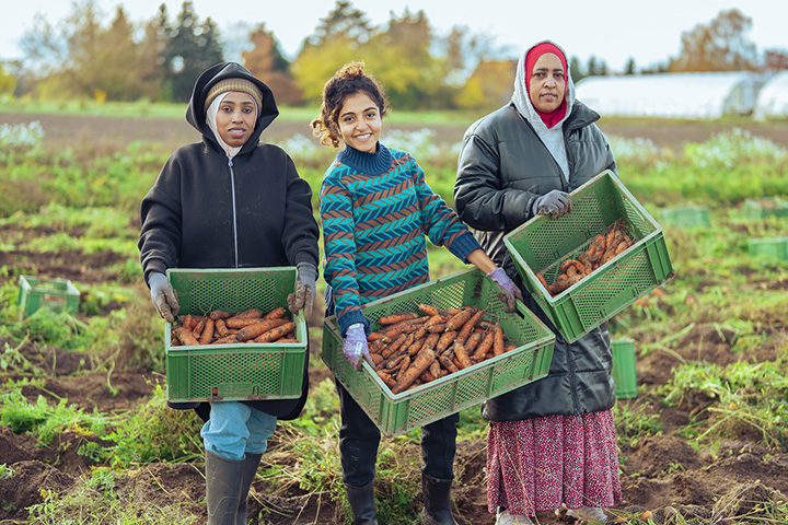 Der Ernährungsrat Berlin stellt in einer neuen Podcastfolge ein innovatives Projekt vor: „Gemüse auf Rezept“. Gemeinsam mit dem Gesundheitskollektiv und einer Solidarischen Landwirtschaft wird gesunde Ernährung für Patient*innen zugänglicher gemacht – ein Ansatz, der Prävention, soziale Teilhabe und Ernährungspolitik verbindet.