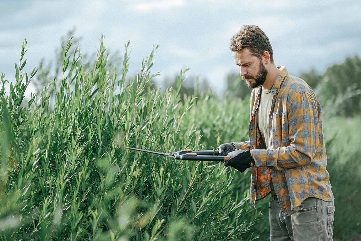 Ein Mann in kariertem Hemd schneidet mit einer Gartenschere grüne Sträucher im Freien.