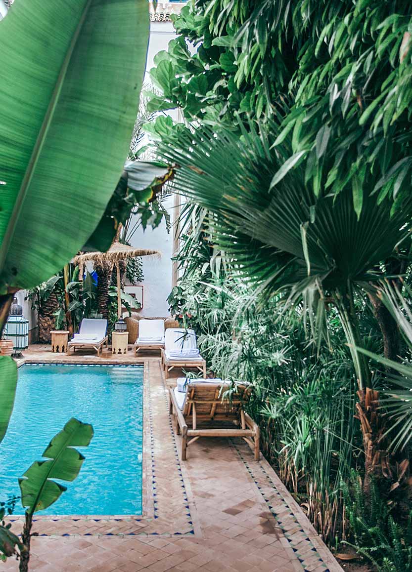 Ein kleines Schwimmbecken umgeben von üppigem Grün und mehreren Liegestühlen mit weißen Handtüchern auf einer gefliesten Terrasse.